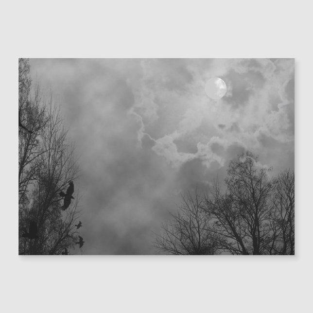 Haunted Halloween Himlar med Ravens (Framsida)