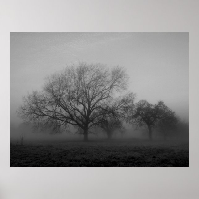 Haunting Fog Canvas Poster (Framsidan)
