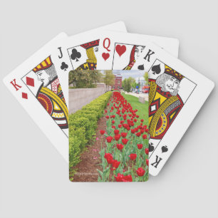 Haupt lökar casinokort