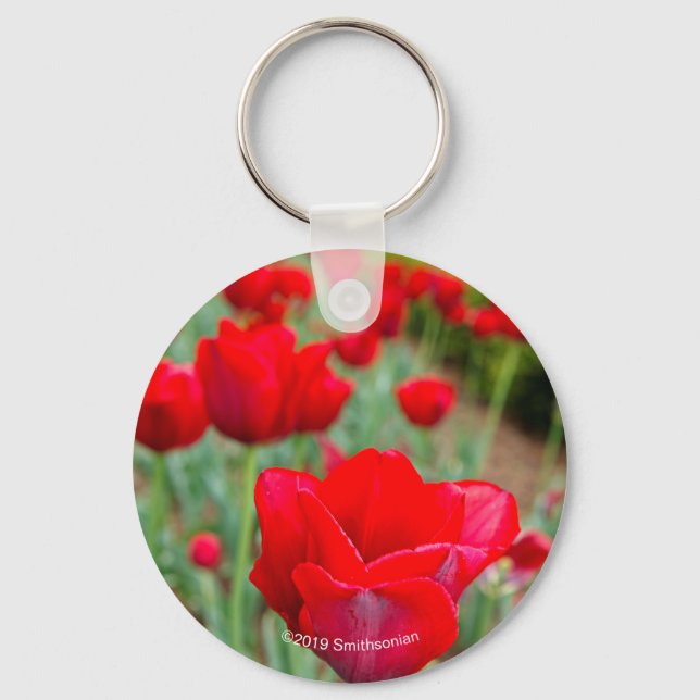 Haupt Lökar, Close-up Nyckelring (Framsida)