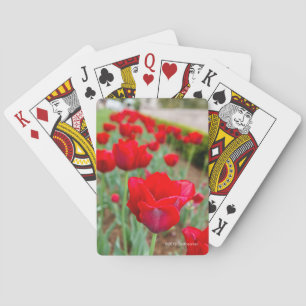 Haupt lökar, närbild casinokort