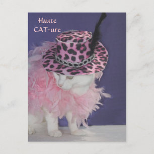 Haute CAT-ure Vykort