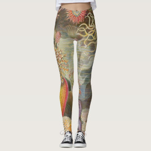 Hav Anenomes av Ernst Haeckel Leggings