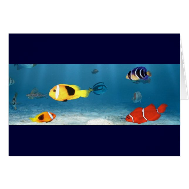 Hav av fisken OBS kort (Framsidan Horizontal)