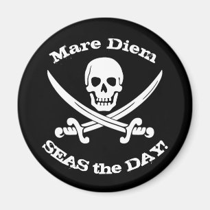 Hav dagpiratmagneten magnet