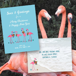 Hav och hälsningar Flamingos Anpassad Holiday vyko Vykort