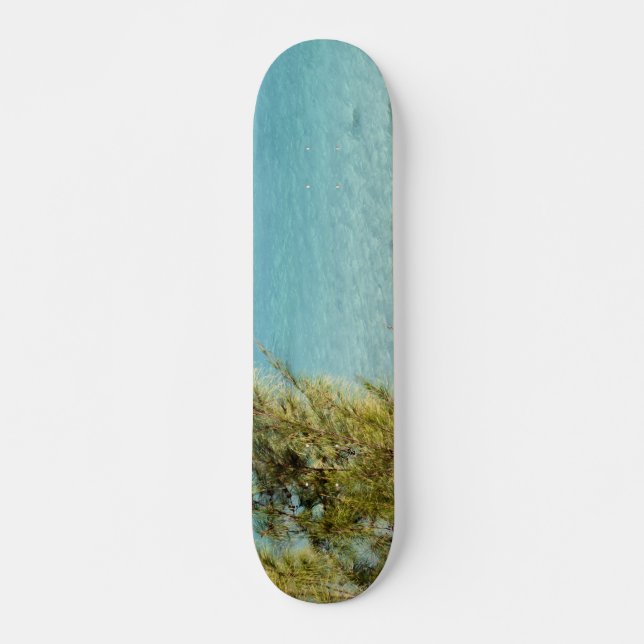 Hav Old School Skateboard Bräda 18 Cm (Framsida)