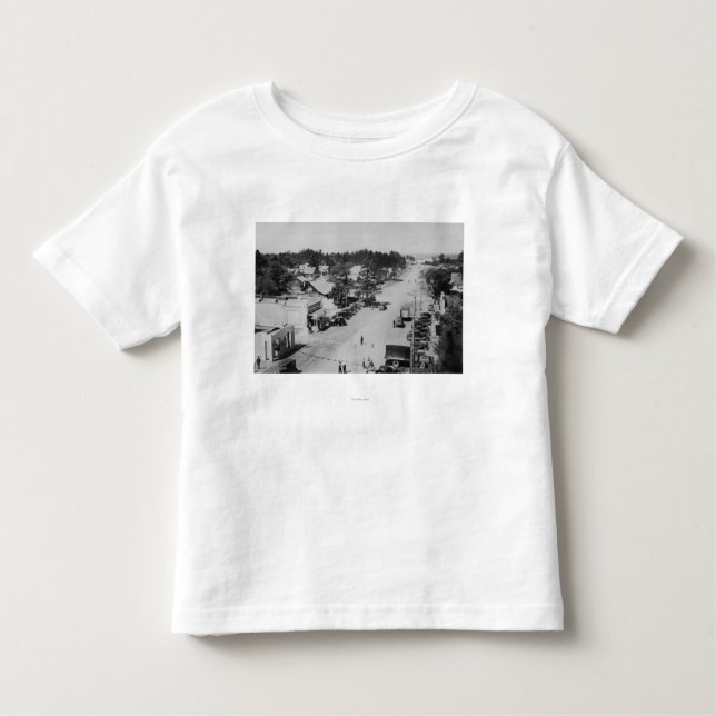 Hav parkerar, WA - beskåda av stranden, gammala T Shirt (Framsida)