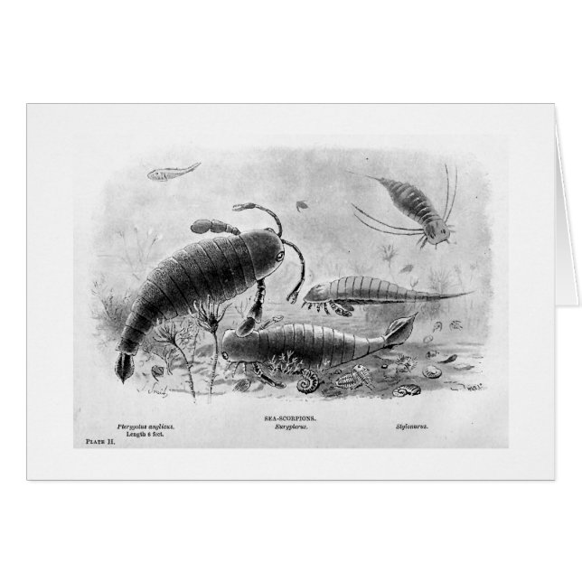 Hav-scorpions konstkort hälsningskort (Framsidan Horizontal)