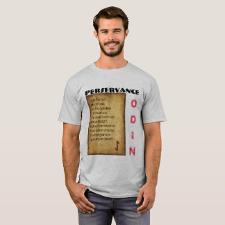 Havamal Perserverance Tröja