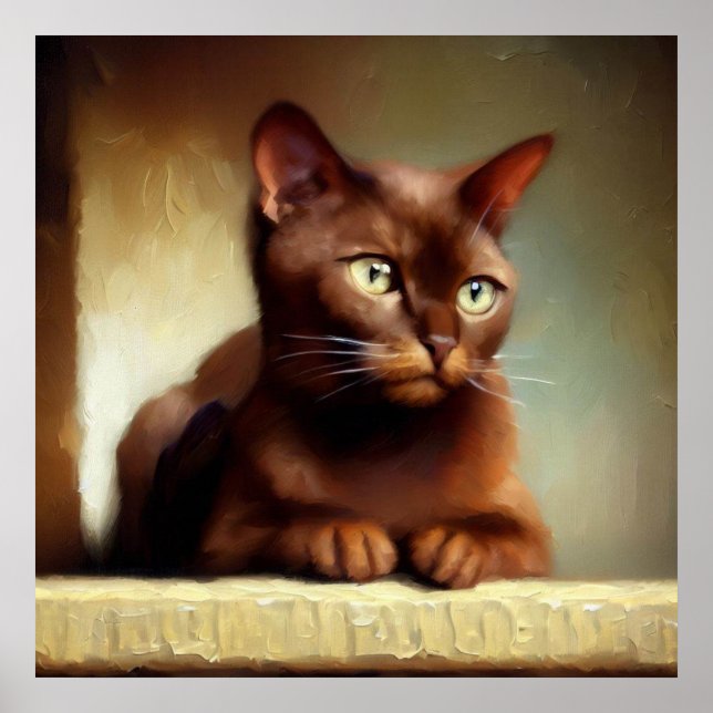 Havana Brown Cat Poster (Framsidan)