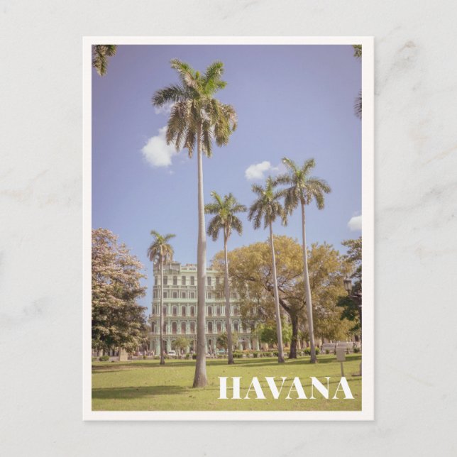 Havana Cuba Green Palm Trees & Architecture Vykort (Framsida)