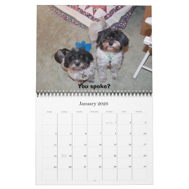 Havanese 2009 kalender (Jan 2026)