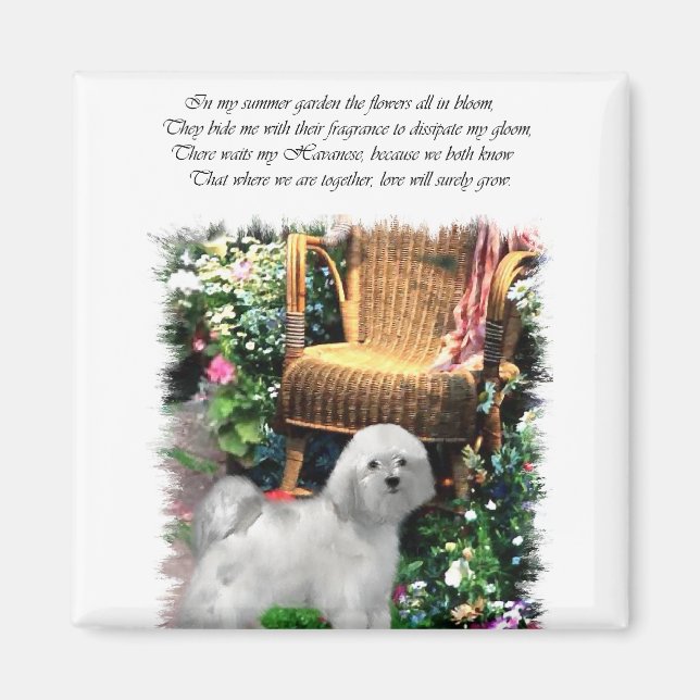 Havanese Art Gifts Magnet (Framsidan)
