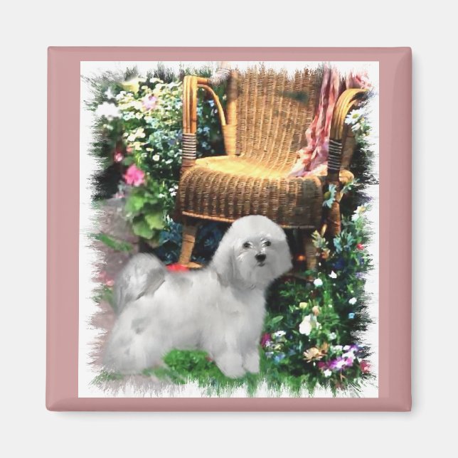 Havanese Art Gifts Magnet (Framsidan)