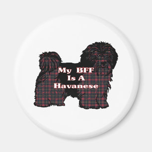 HAVANESE BFF-gåvor Magnet