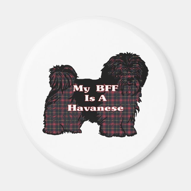 HAVANESE BFF-gåvor Magnet (Framsidan)