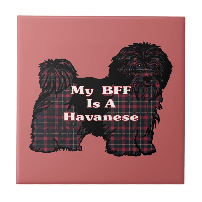 HAVANESE BFF KAKELPLATTA (Framsidan)