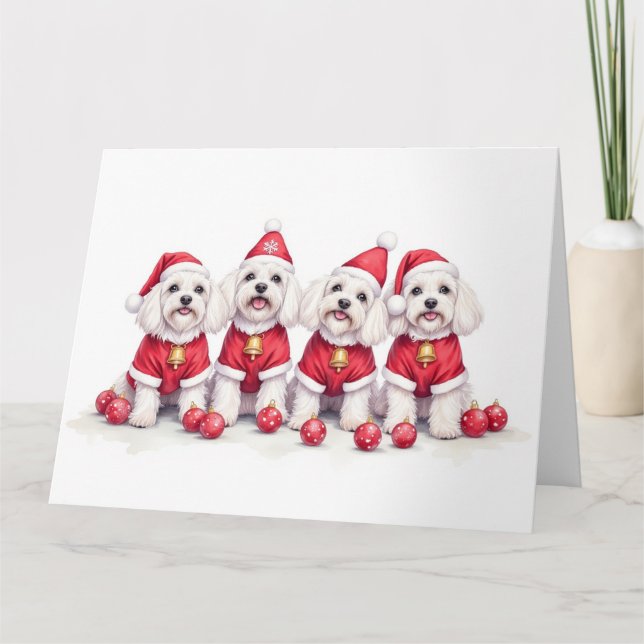 Havanese Christmas Dress Santa Hat Kort (Framsida)