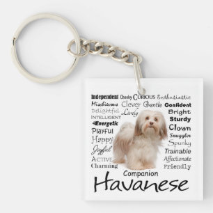 Havanese drag Keychain