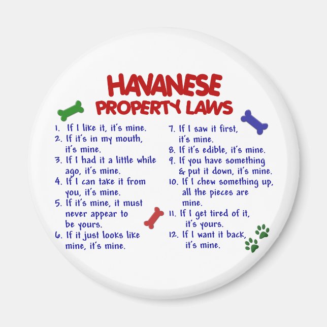 HAVANESE EGENDOM LAGSTIFTNING 2 MAGNET (Framsidan)