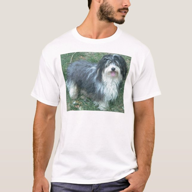 havanese fullt t shirt (Framsida)