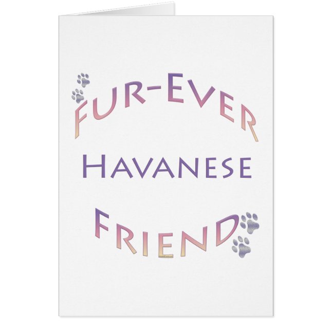 Havanese Furever Hälsningskort (Framsidan)