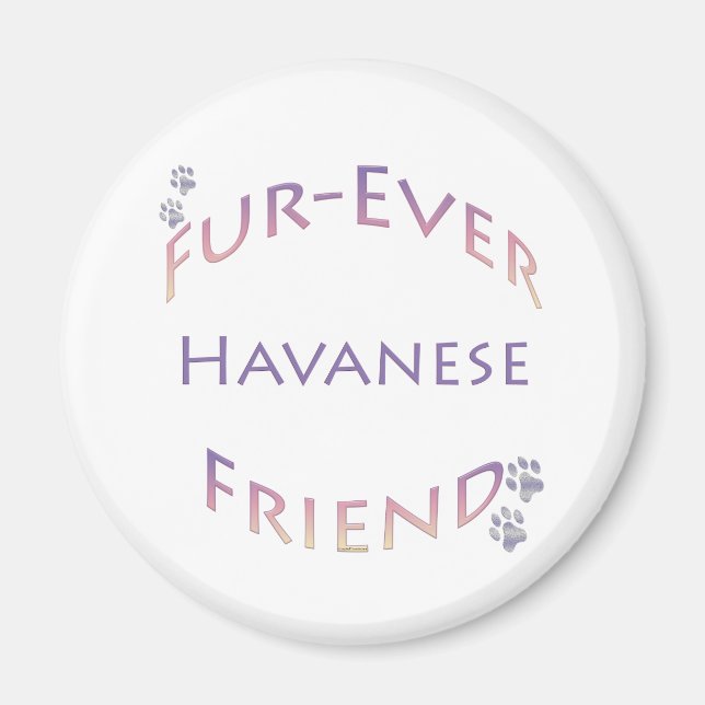 Havanese Furever Magnet (Framsidan)