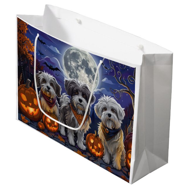 Havanese Halloween Kuslig (Framsidan Vinklad)