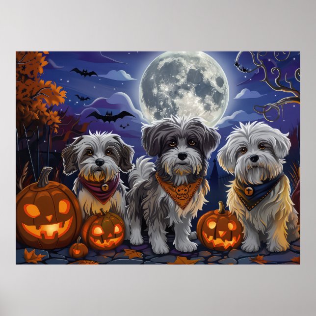 Havanese Halloween Kuslig Poster (Framsidan)