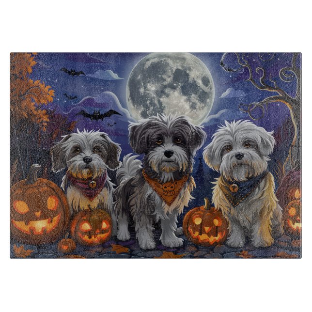 Havanese Halloween Spooky (Framsidan)