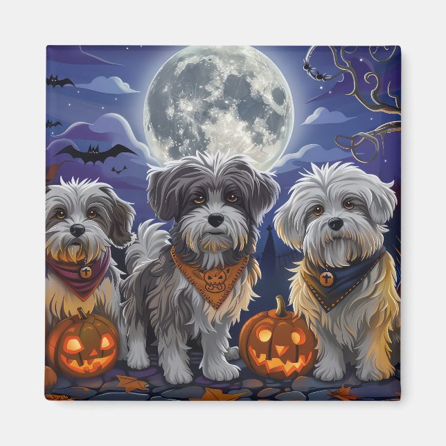 Havanese Halloween Spooky Magnet (Framsidan)