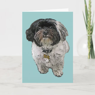 Havanese hälsningkort kort