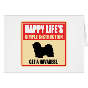 Havanese Hälsningskort