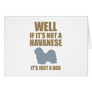 Havanese Hälsningskort