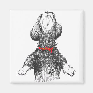 Havanese Happiness - Dansar valp! Magnet