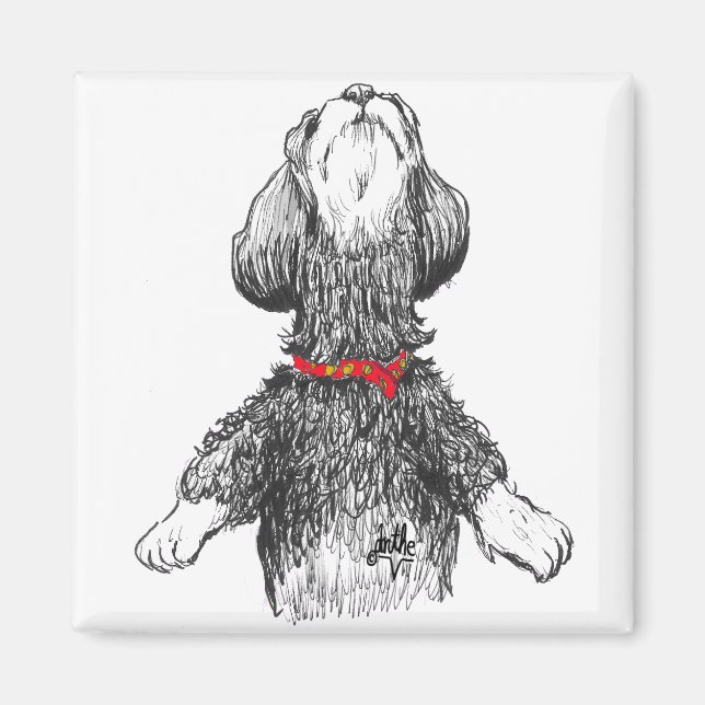 Havanese Happiness - Dansar valp! Magnet (Framsidan)