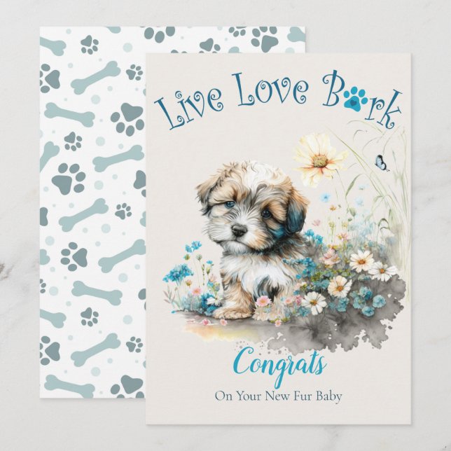 Havanese Hund Adoption, Gotcha Day Kort (Fram/baksida)