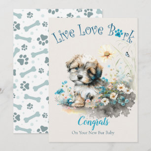 Havanese Hund Adoption, Gotcha Day Kort