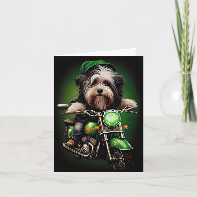 Havanese Hund Driving Bike St. Patrick's Day Kort (Framsida)