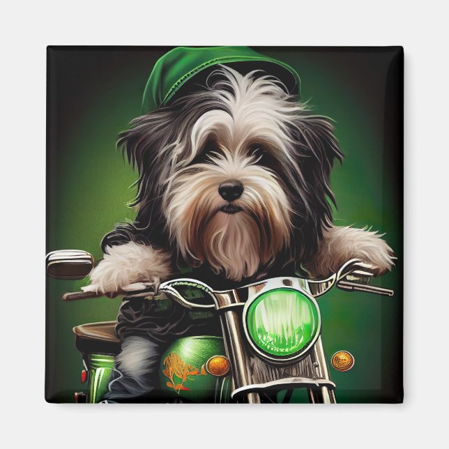 Havanese Hund Driving Bike St. Patrick's Day Magnet (Framsidan)