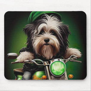 Havanese Hund Driving Bike St. Patrick's Day Musmatta
