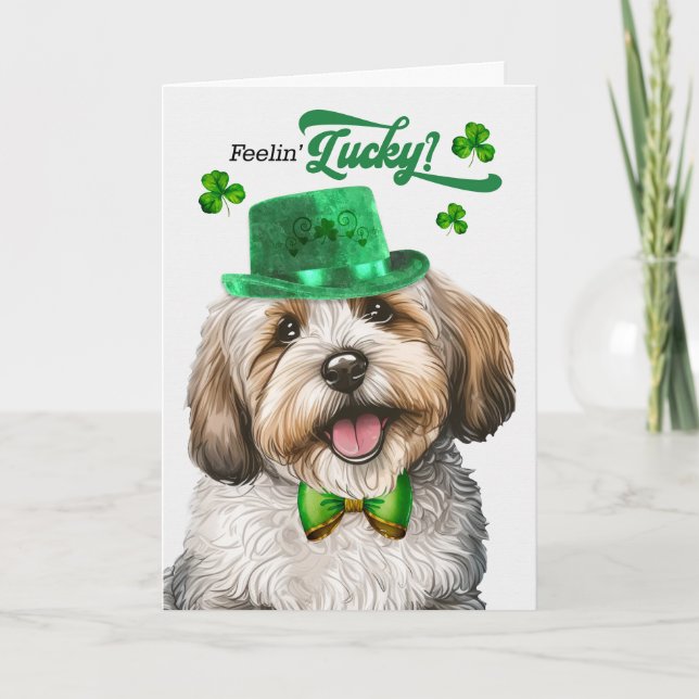 Havanese Hund Feelin' Lucky St patrick's day Helgkort (Framsida)