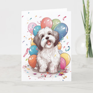 Havanese Hund Födelsedagsfest Greeting Card Tack Kort
