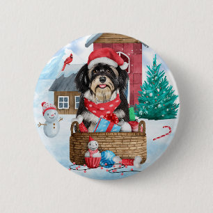 Havanese Hund i snö Hund House Knapp