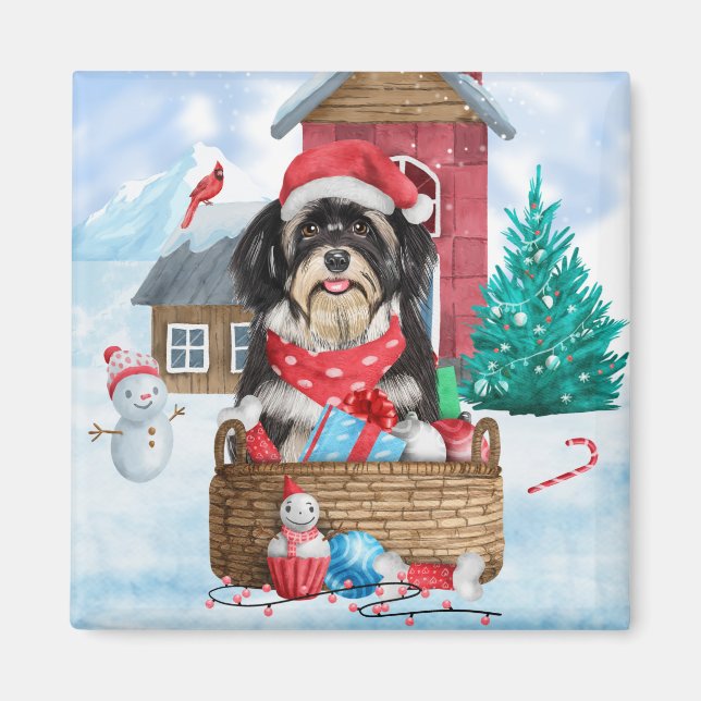 Havanese Hund i snö Hund House Magnet (Framsidan)