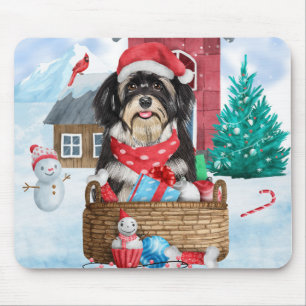 Havanese Hund i snö Hund House Musmatta