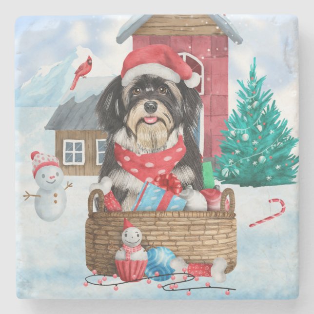 Havanese Hund i snö Hund House Stenunderlägg (Framsidan)
