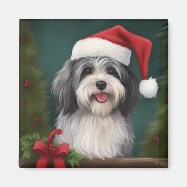 Havanese Hund i Snö jul Magnet (Framsidan)