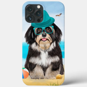 Havanese Hund on Beach